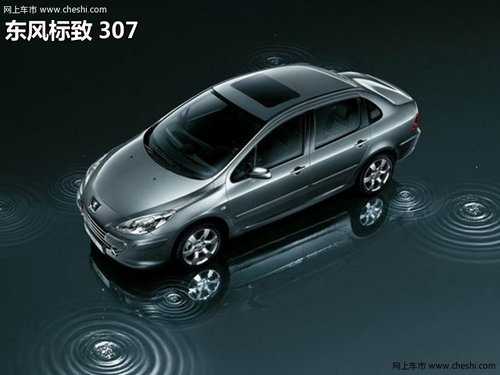 东风标致感恩宁夏年末抄底钜献200万