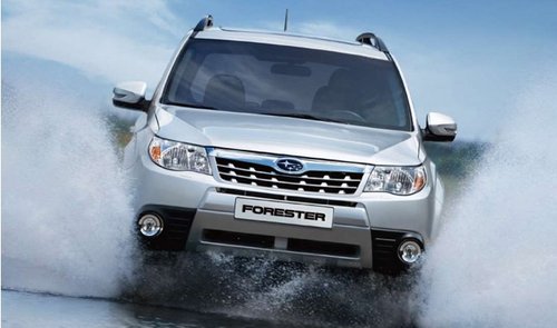 唐山森林人中冀斯巴鲁店