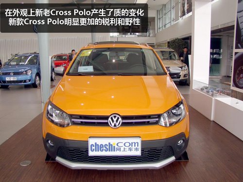 引人注意的小家伙 实拍新款Cross Polo