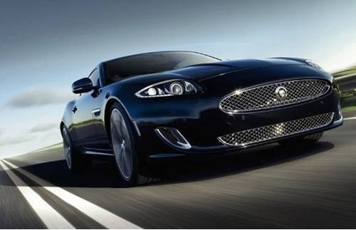 动物凶猛 细数那些引擎中的生命