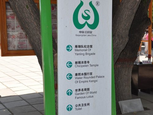天航瑞晨红色之旅——白洋淀自驾游