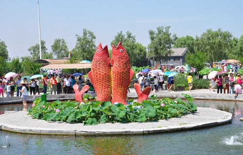 天航瑞晨红色之旅——白洋淀自驾游