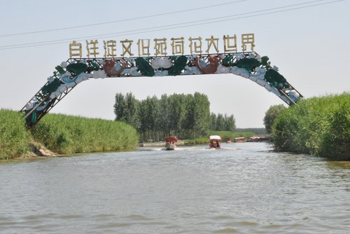天航瑞晨红色之旅——白洋淀自驾游