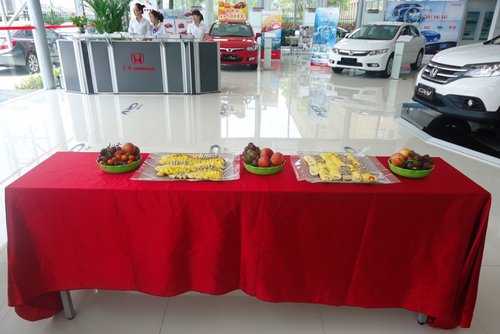 域见东本 思定 粽 身 苍南红豪端午专场_思域