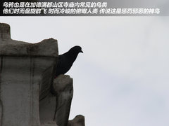 驱车跨越世界屋脊 海马尼泊尔-拉萨游记