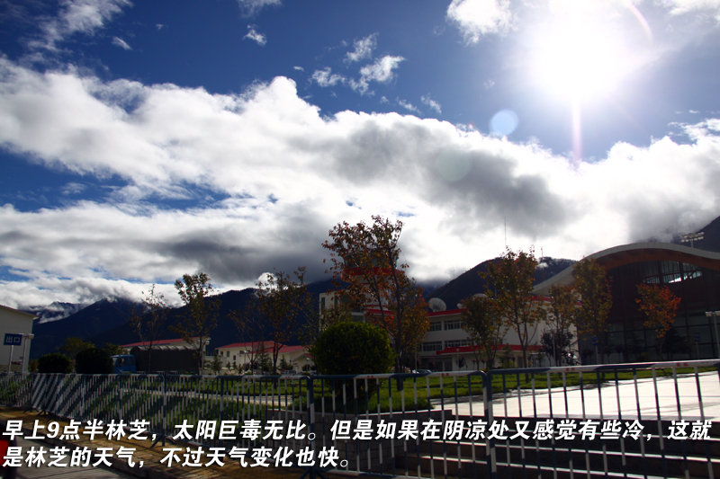 洛巴族人口(2)