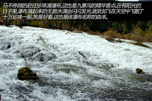 说走就走！MINI引路！MINI九寨沟游记
