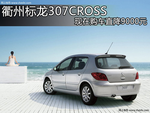 衢州标龙307CROSS 现在购车直降9000元