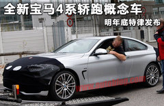 宝马新4系轿跑概念车官图 北美车展发布