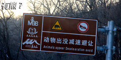 深眠浅出岂枉然 岁末吉林长白山雪中游
