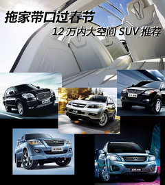 拖家带口过春节 12万内大空间SUV推荐