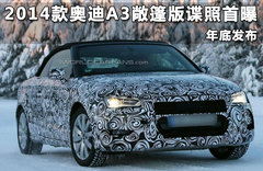 奥迪A3终极版推出 售价约合23.37万元起