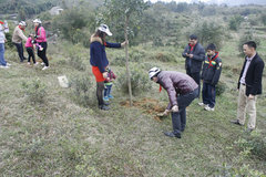 悦暖新春 广东粤宝2013BMW爱心活动