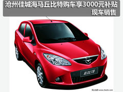 沧州佳城海马丘比特购车享3000元补贴