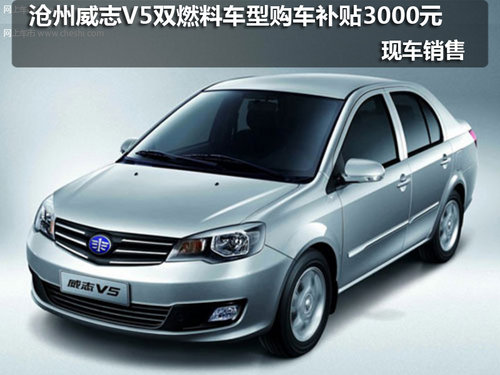 沧州天丰威志V5双燃料车型购车补贴3000元