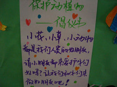 2013年“BMW童悦之家”环保活动招募中