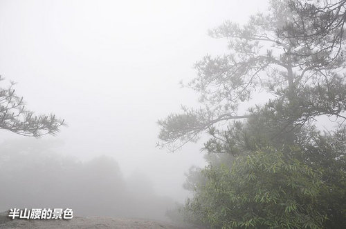 上海-景德镇-黄山 端午三日假期自驾游