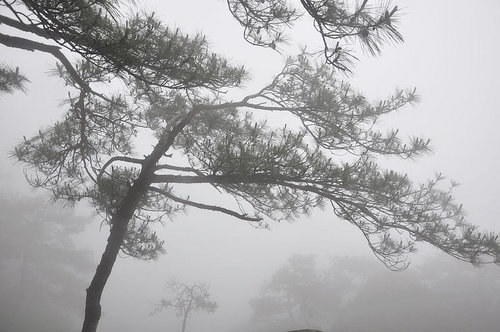 上海-景德镇-黄山 端午三日假期自驾游