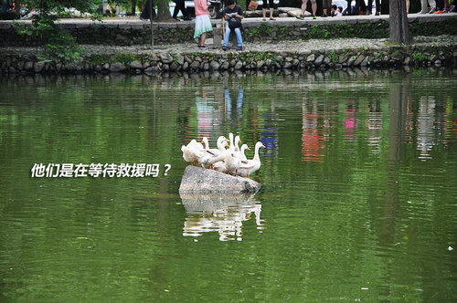 上海-景德镇-黄山 端午三日假期自驾游