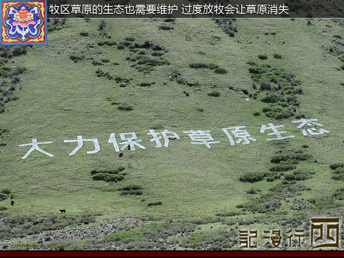 初次感受西藏文化 拉萨至林芝地区游记