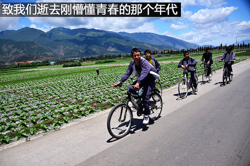 壁虎中国行第一天 在大理苍山采茶制茶