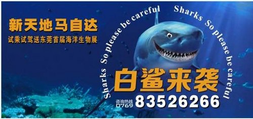 东莞首届大型海洋生物展 马自达送门票