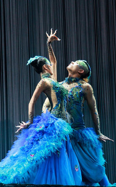 沈阳华宝携手车主共赏杨丽萍《孔雀》舞剧