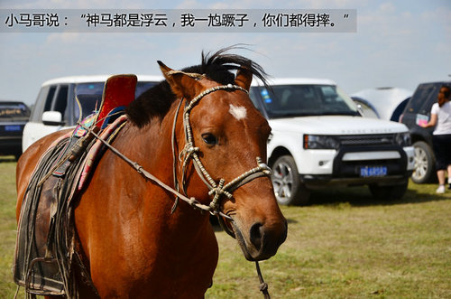 2013路虎大会 领略蓝天白云的草原风情