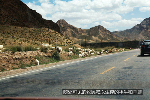 行走在云端 全新胜达/新途胜青藏线之旅