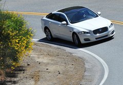 秋季购车指南 4款入门级豪华车型推荐