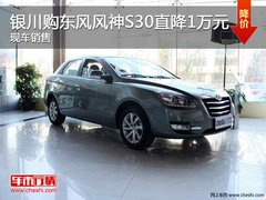 银川东风风神S30
