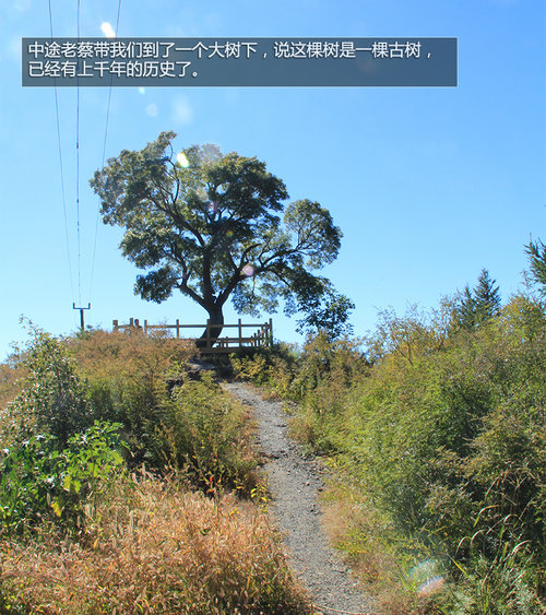 住农家院/品农家饭 宝利格畅游－六渡村