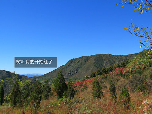 住农家院/品农家饭 宝利格畅游－六渡村