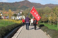维特拉“撒野”一族挚爱车生活