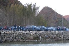 维特拉“撒野”一族挚爱车生活