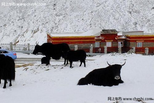 不虚此行 川北星空之旅完美收官