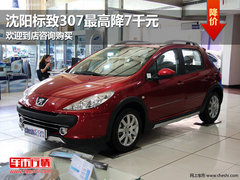 沈阳标致307最高降7千元 欢迎到店咨询购买