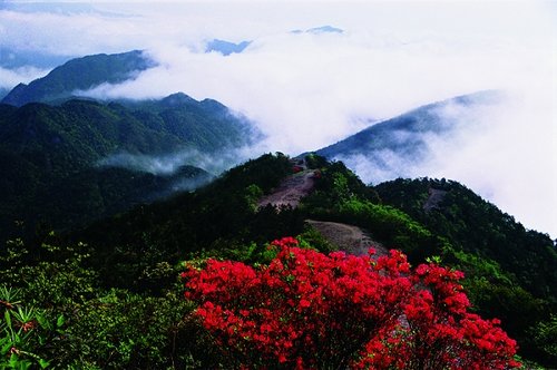 泰顺乌岩岭入选中国最具人气最佳秋色观赏地