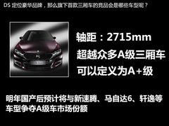 A+级三厢车/明年3月底上 DS5 LS实拍解析