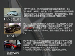 今年推两款新车 DS赞助女子高尔夫球赛