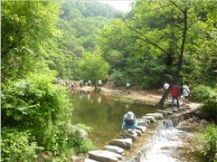 说一说今年参加的雪佛兰4S店的精彩活动