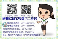 1.2万至尊礼包 双诚宝骏马年贺喜