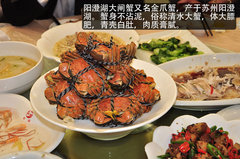 北京现代名图自驾游在阳澄湖畔盛大举行