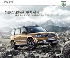 鄂尔多斯铁西斯柯达1月23日小年 大优惠