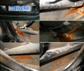 比亚迪F6质量问题 车门严重锈蚀厂商拒退还（图）