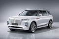 紅旗純電動SUV E-HS9現(xiàn)身北京街頭 年內(nèi)上市