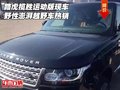 路虎攬勝運動版現車 野性澎湃越野車熱銷