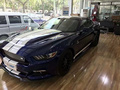 漢中謝爾比優(yōu)惠僅售32.98萬 預(yù)訂購車