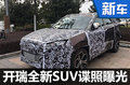 開瑞全新
