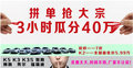 起亞西南區(qū)年度大宗業(yè)務(wù)專場等你來搶